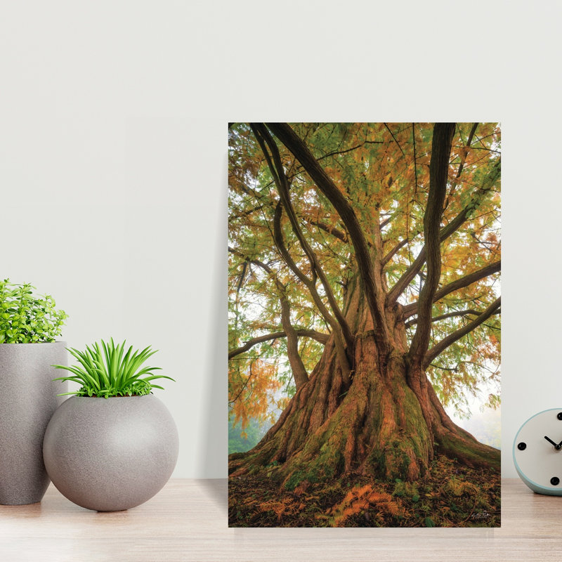 Print, 45.72cm H x 30.48cm W