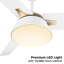 Ventilateur de plafond 48 po avec télécommande, ensemble d'éclairage inclus-28787026