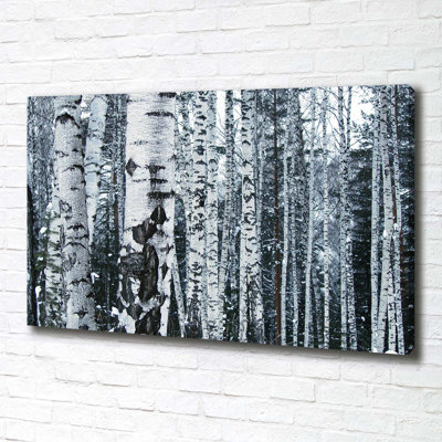 Birch Trees - Wrapped Canvas Print