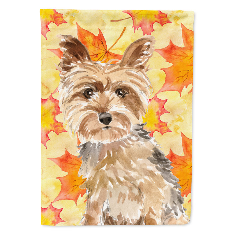 Automne 2 côtés en polyester 15 x 11 po drapeau de jardin, Yorkshire-terrier Yorkie