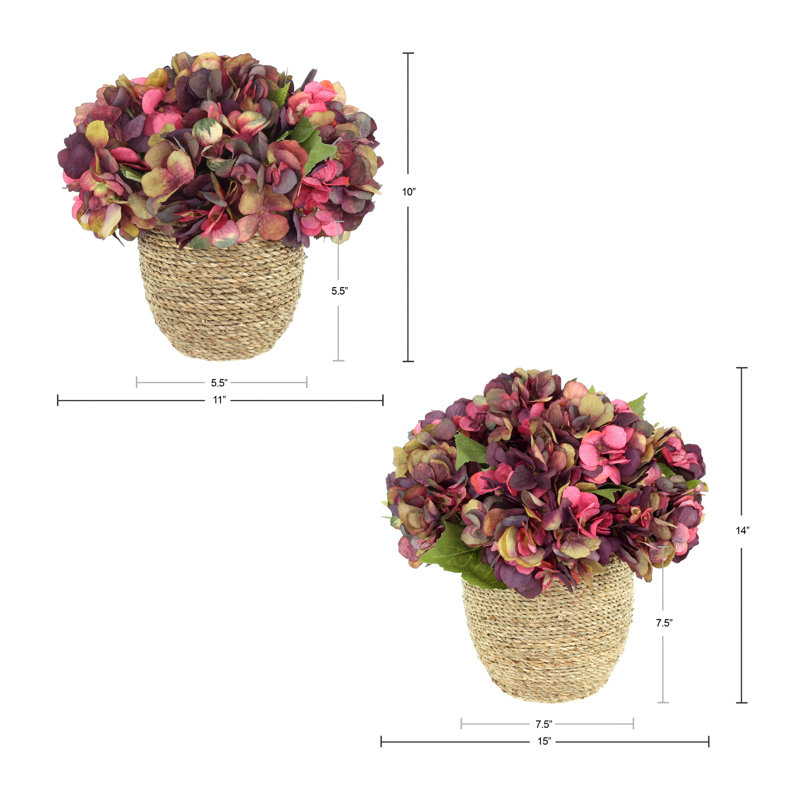 Arrangements floraux d'hortensias d'automne Carytown, Bourgogne / rouge