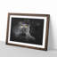 British Shorthair Cat In The Shadows Paint Splash - Picture Frame Graphic Art-56867095-56867098