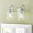 Arianna 2 - Light Dimmable Vanity Light-1602167059