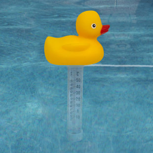 Thermomètre canard