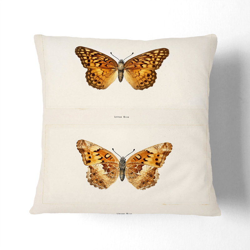 Variegated Fritillary Butterfly by S.F. Denton Cushion with Filling, White, 55cm H x 55cm W x 20cm D