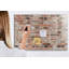 Magnetic Glass Dry Erase Board