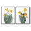 «Daffodil Bunch I», reproduction encadrée de qualité supérieure - prête à être accrochée - aucun clou requis - aucun clou requis-107998307-107998310