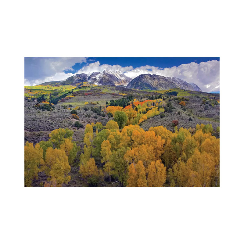 Fall Colors At Chair Mountain, Colorado by Tim Fitzharris - Wrapped Canvas Print, 30.48 cm H x 45.72 cm W