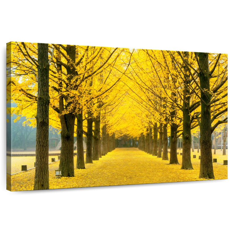 Arbres Harnek Ginkgo, H 30 po x l 45 po