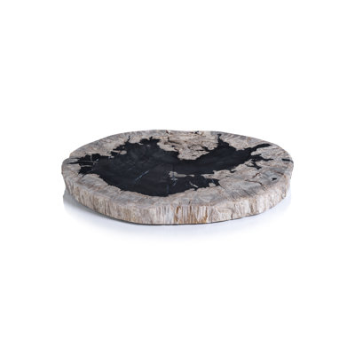 Brasilia Petrified Wood Cheese Board