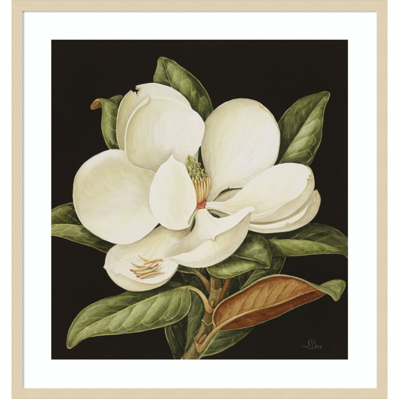 «Magnolia Grandiflora» par Jenny Barron - reproduction d'un seul cadre, H 33 po x l 31 po x P 1 po