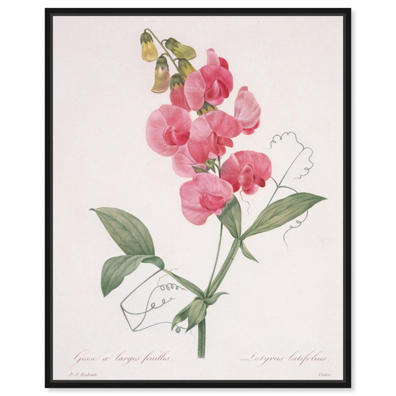 Toile Latifolus par Art Remedy, Noir, H 21 po x l 17 po, Cadre flottant