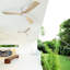 Ventilateur de plafond en bois 52 pouces avec 3 pales en bois massif, télécommande, moteur à courant continu réversible sans lumière-531348021-531348022