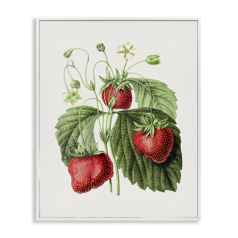 Étude de fraises rétro par lettrage et doublure, Estampe numérique encadrée blanc bord de mer, H 20 po x l 16 po