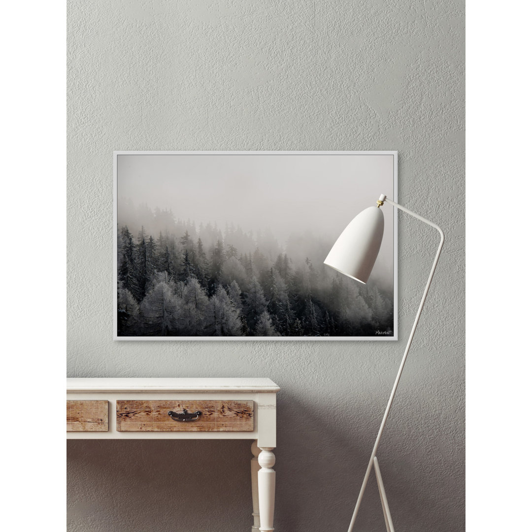 I Belong in the Forest - Floater Frame Photograph on Canvas