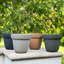 Pots à plantes Chloe-125631647-125631644