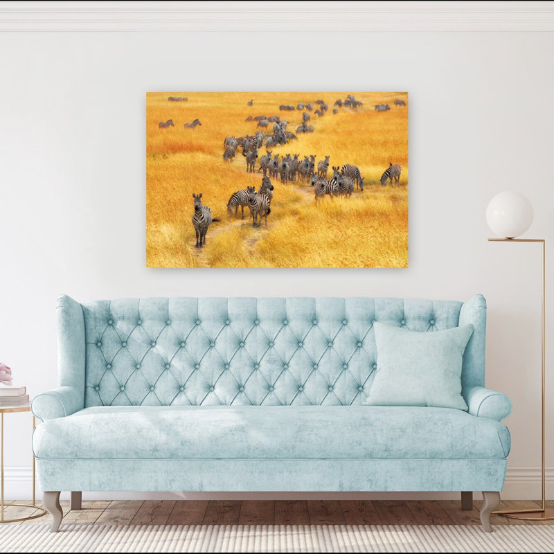 Zebras In Golden Grassland Contemporary Zebra Nature Wildlife Wall Art Print 1 Piece Wrapped Canvas Wall Art