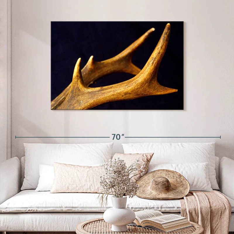 Brampt Deer Antlers, 30" H x 45" W