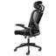 Chaise de bureau avec support lombaire réglable, chaise de bureau ergonomique à haut dossier avec appui-tête réglable, dossier de chaise de bureau ergonomique avec accoudoir en 2 dimensions, chaise d'ordinateur pour la maison, bureau