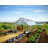 Palram - Canopia Balance 10' W x 24' D Walk-In Hobby Polycarbonate Aluminum Frame Greenhouse Kit with Roof Vents - Silver-93871875