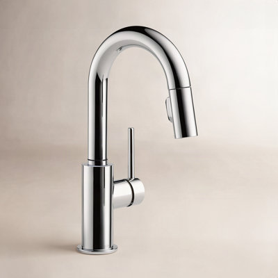 Trinsic Pull-Down Bar Faucet