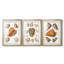 Coquillages collectés VII - Impression sur mesure encadrée de qualité supérieure - 3 pièces-758064708-758064728
