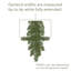 Oberlander Lighted Faux Mixed Assortment Garland-615747582