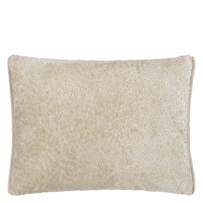 Cartouche Decorative Pillow