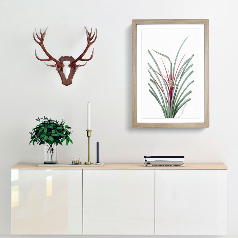 Plumier's Bromelia Flower by Pierre-Joseph Redoute - Picture Frame Painting Print, 36cm H x 27cm W x 2cm D, Oak Framed