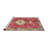 Oriental Indoor Rug-124946212