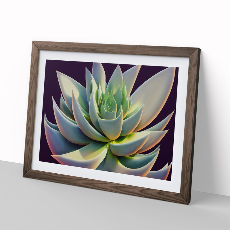 Ravishing Succulent Plant - Single Picture Frame Print, 25cm H x 34cm W x 2cm D, Walnut Framed