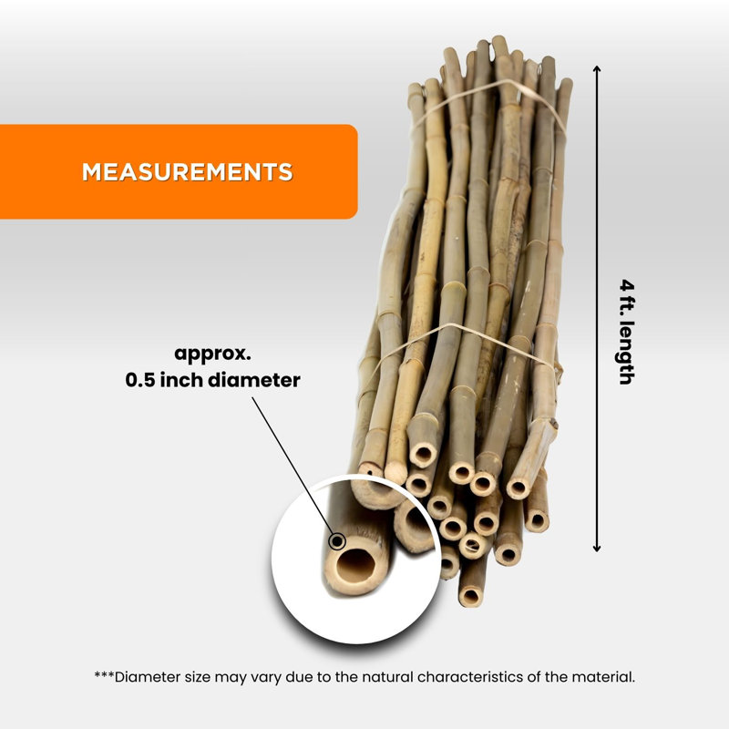 Natural Bamboo Stakes Plant Support Trellis Garden Stake, 48" H x 0.62" W x 0.62" D