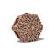 Truc sur bois Mystery Flower