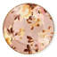 Wild Rose Dinner Plate-599211820