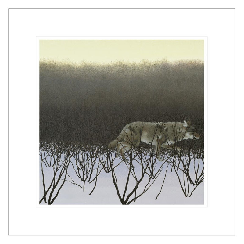 «Coyote and Alders» par Alex Colville - impression giclée encadrée, H 17,76 po x l 17,75 po