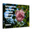 Heavenly Father Forgive You Matthew 6:14 - Wrapped Canvas Print-1623162174