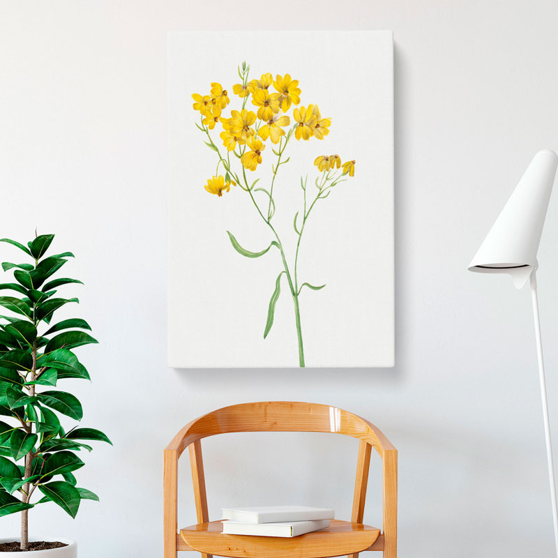 Psilostrophe Sparsiflora by Mary Vaux Walcott - Wrapped Canvas, 50cm H x 35cm W x 3cm D