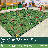 Buzzy Bugs Kids Rug-10329954