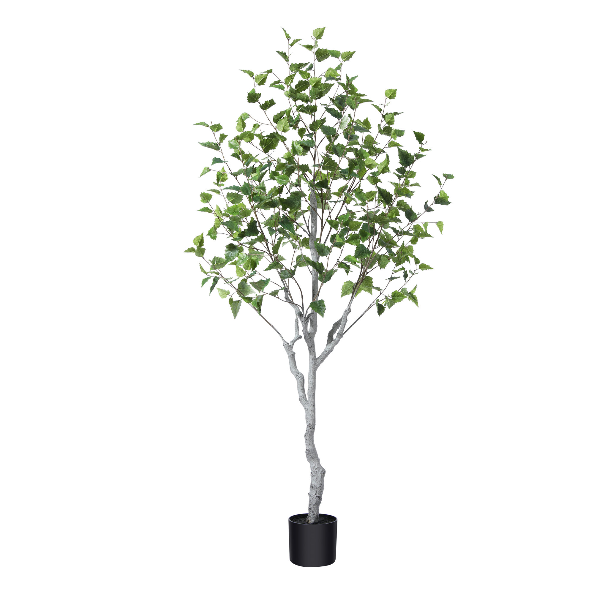 Adcock Artificial Betula Tree in Pot, Pre Potted Faux Greenry Plant for Home Decor, Big Fake Plants, 72" H x 24" W x 24" D