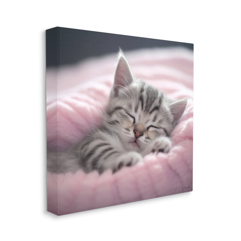 " Soft Kitten Tucked In " by Roozbeh, 30" H x 30" W x 1.5" D