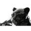 Figurine Borremans Panther