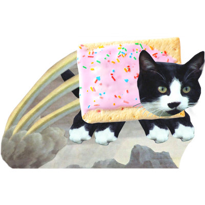 H40403 Nyan Cat Cardboard Standup