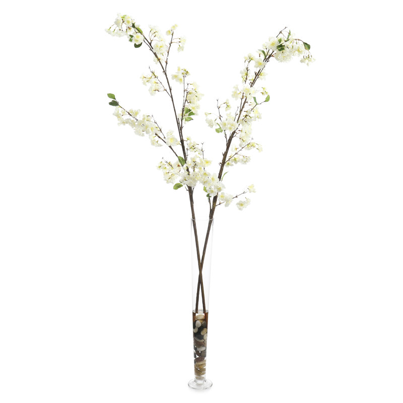 Fleurs de cerisier crème