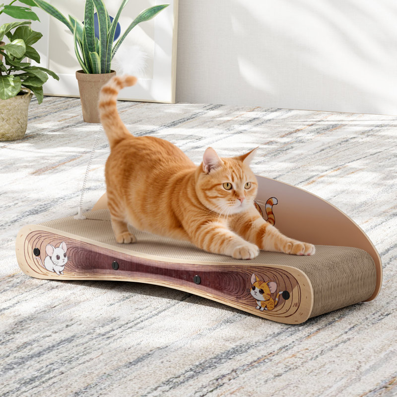 Grattoir pour chat 2 en 1 en carton