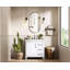 Meuble-lavabo simple 32 po_Traditional_VF60632-BS-1335982054