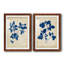 Toile encadrée Indigo Leaf Study-504656819-504656820-504889199
