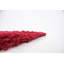 Tapis rouge cerise Angeline-1197418224