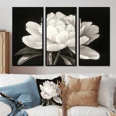White And Black Peony Elegance II - Peonies Wall Art - Set Of 3