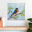 Merle bleu sur une branche-109217000