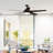 Brione 64'' Ceiling Fan with LED Lights